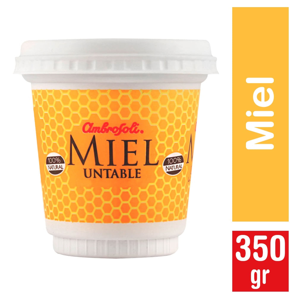 MIEL UNTABLE AMBROSOLI 350 GRS                    
